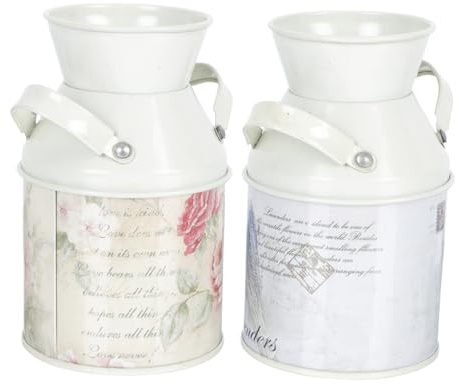 Toyvian Maceta de Hierro 2 Piezas Cubo para Plantas y Flores Uso Oficina y Hogar Mini Jarrón Decorativo Vintage Almacenamiento de Escritorio Detalle para Aficionados a Plantas