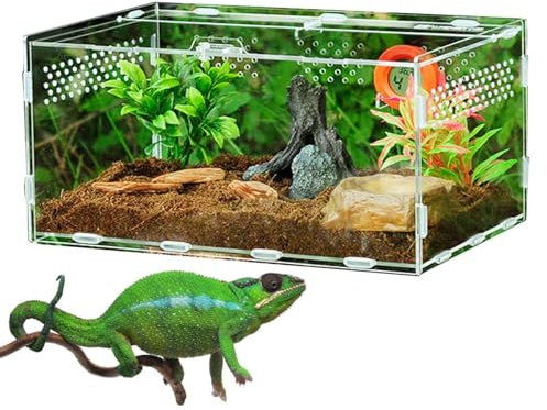 Reptilien Terrarium Box, 30 cm Reptilien Futterbox, Reptile Fütterungsbox, Reptilienzuchtbox Acryl, Zuchtbox Anti-Flucht Für Spide, Skorpion, Käfer, Gehörnte Frösche, Haustierschlangen