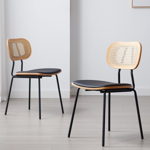 Ya-Home Set di 2 Sedie da Pranzo Sedie da Cucina Retrò in Rattan Sedia da Salotto Sedie Imbottite con Gambe in Metallo per Sala da Pranzo/Soggiorno, Nero