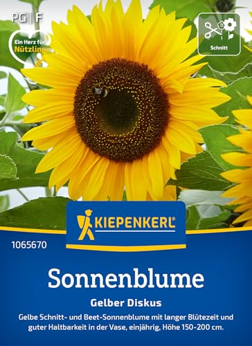 Kiepenkerl Sonnenblumensamen Gelber Diskus 1065670 – Imposante Sonnenblumen mit goldgelben Blüten und stabilen Stängeln - Wildblumensamen, Blumenwiese, Saatgut