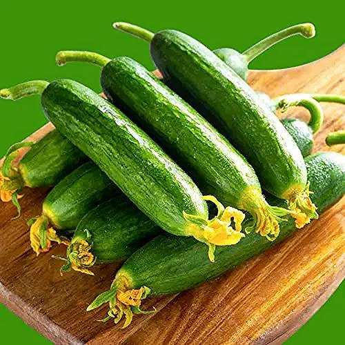 CHTING 100 Stück Gurkensamen Jährliche Klettergemüse Gelbe Blumen Für Hausgarten Pflanzen Anpassungsfähig Geeignete Anfänger Gärtner