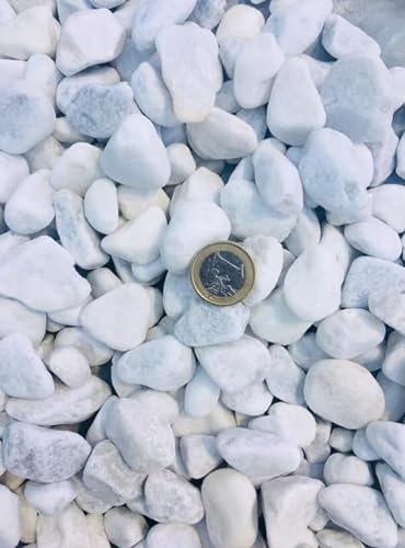 HCommerce Gravier de marbre blanc neige I Gravier de Carrara I Grain 20-40 mm (5 kg)