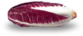 CICORIA O RADICCHIO ROSSA DI TREVISO 4 NR.2000 SEMI