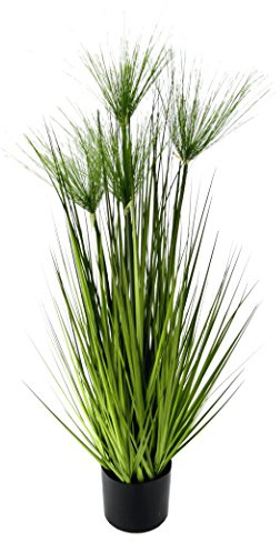 Flair Flower Cyperngras i grytan, plast, grön, 100 x 30 x 30 cm