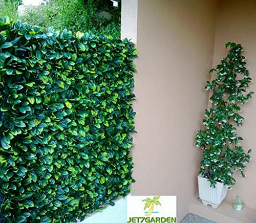 Jet7Garden Treillis en Bois de Saule et Feuilles de troène doré