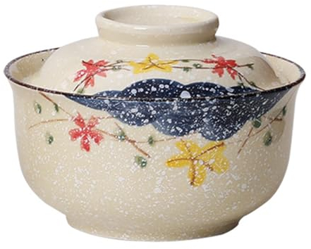 Tazón de ramen, juego de tazón de cerámica con tapa, 800 ml, cuencos de sopa de cerámica japonesa, para cereales, sopa, vajilla asiática, microondas y lavavajillas