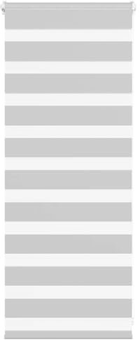 vidaXL Zebrarollo Hellgrau 65x100 cm Stoffbreite 60,9 cm Polyester, Zebra-Rollo, Doppelrollo, Zebra-Jalousie für Fenster, Doppelrollo, Zebra-Rollo