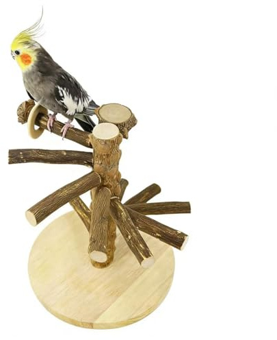 Portable Bird Perch Stand, Natural Wood Tabletop Training Gym Parrot Playground Toy for Budgies, Cockatiels, Lovebirds,Conures Canaries