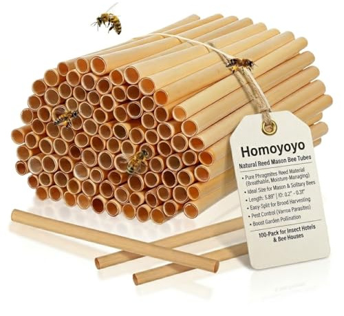100PCS Bee Tubes 5 8mm Diameter Natural Reed Bee Tubes for Wild Bug House Mason Solitary Condo Nest Filling Insect Hotel Construction 15cm Long