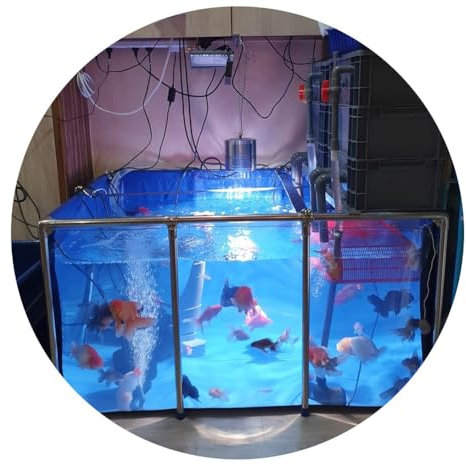 Bassin à poissons en PVC avec cadre en acier transparent et fenêtre de visualisation grand espace pour l'élevage de carpes koï et poissons rouges en plein air, jardin, aquarium, piscine, bleu durable