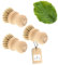 3X HOFMEISTER® Pilzbürste Champignonbürste Holz Naturborste - mit edlem Rosshaar, für alle Pilze geeignet, Champignons schonend putzen, Pilze von Sand reinigen, Buchenholz aus Deutschland, 7,7 cm