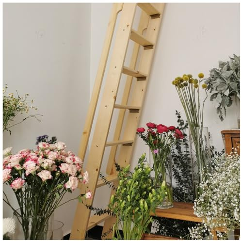 Échelle de rechange en bois pour lit superposé et dortoir – Barres d'appui robustes et marches larges pour l'escalade sûre dans les chambres – Idéal pour les enfants et les adultes