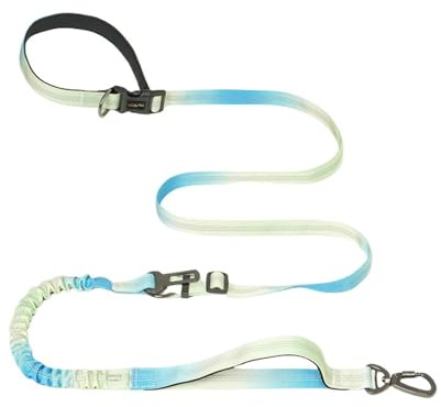 WYHTDFO Guinzaglio for Cani da Compagnia, Tracolla, Mani libere(Green)