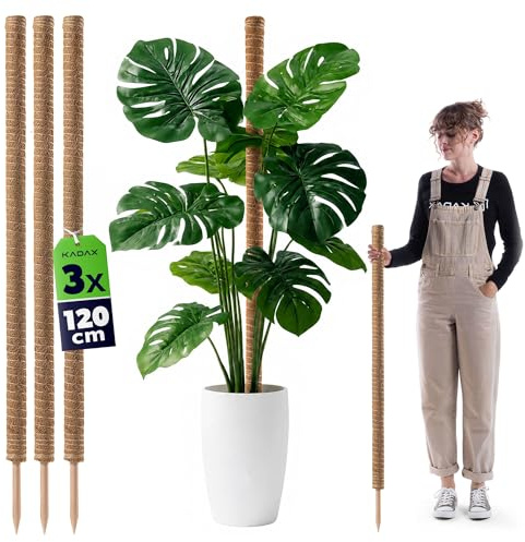 KADAX Monstera - Set di 3 bastoncini in fibra di cocco (120 cm), asta di cocco e muschio per piante d'appartamento, arrampicata e supporto per piante per interni ed esterni