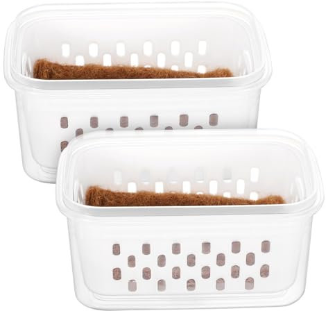 WEKADRIN 2 Pièces Pots de Germination Transparents Contenants de Semis Compactes Drainage pour Plantes Intérieur Extérieur