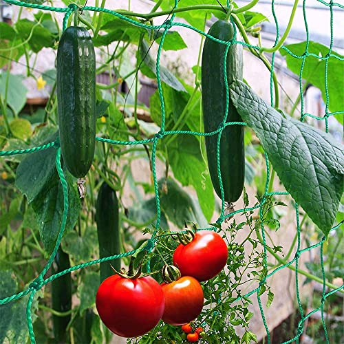 Rankhilfe Gurken Ranknetz für Gurken - Rankhilfe Garten Tomaten, Sehr Passend Netz für Kletterpflanzen Gewächshaus Zubehör, Pflanzennetz 180x270 für Garten Gewächshaus