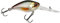 Berkley Dex Trencher 7cm Wagasaki