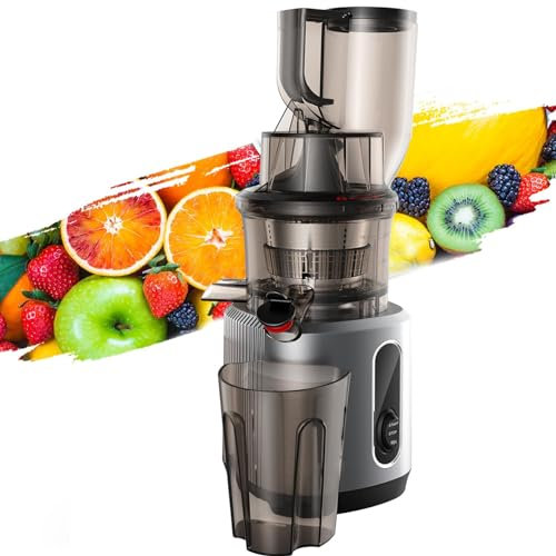 Spremiagrumi Lento A Bocca Larga Per Frutta E Verdura, Spremiagrumi 200W,Spremiagrumi Centrifugo Bocca Larga 75 Mm, Centrifugo Acciaio Inossidabile A Velocità 55 Giri/Min/Capacità 700 Ml,Grey