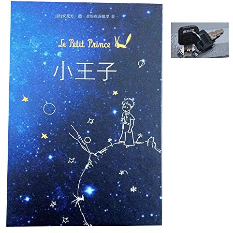 BOOKSAFEBOX Buchtresor Buchsafe Mit Zahlenschloss Buchtresor Für Erwachsene Kinder,Mit Echten Seiten Tragbaren Safe Mit 2 Schlüsseln,LittlePrince-Key