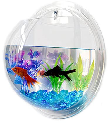 GREENADSCAPE Transparentes Acryl-wandaquarium Zum Aufhängen Fischaquarium Zubehör Für Heimdekoration Platzsparendes Aquarium Für Fische
