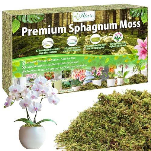 Riare Premium 100g Sphagnum Moss for Plants – 4L Natural Moss for Orchids, Soft Green Decorative Moss for Succulents, Reptiles & DIY Crafts