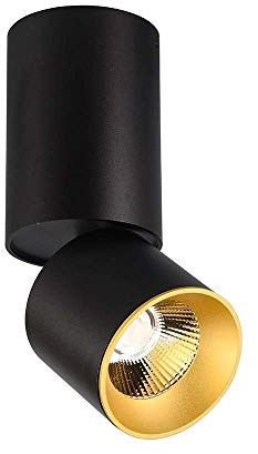 Faretto da Incasso a LED da 10 W, Angolo Regolabile, CRI90, faretto LED ad Alta luminosità, Montaggio Superficiale, Nero, Angolo del Fascio di 24°, Lampada da soffitto Minimalista nordica per SOG