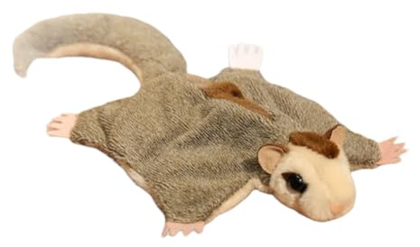 Peluche Petauro de Azúcar – Peluche corto PP 12,99 x 7,48 pulgadas, muñeca realista ardilla voladora con imanes, simpático animal suave | Juguete tierno y relajante para el