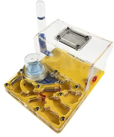 Flaches Ameisennest aus Acryl, Ameisenfarm, Ameisenkolonie-Experimentiernest, Ameisenzuchtbox mit Visier und Wasserspender, Ameisenlebensraum für Ameisen