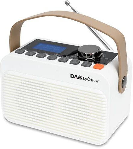Lychee Radio FM numérique DAB/DAB+ BT, radio portable rechargeable, écran LED, prise en charge de la lecture de cartes USB et TF