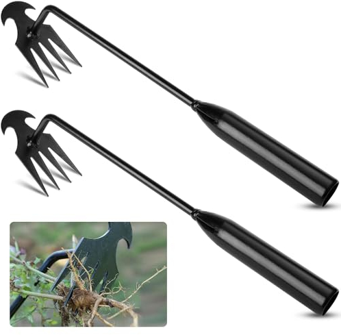 RNHDLY 2 Piezas Extractor Malas Hierbas Jardin de Acero Inoxidable, Extractor de Malas Hierbas con Mango Ergonómico de Madera Natural, Herramienta de Escarda para Quitar Las Malas Hierbas del Jardín