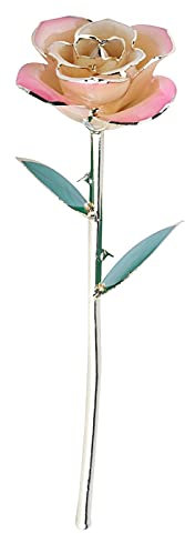 Ejoyous Placcatura in Oro 24K, Vero Fiore di Rosa, Romantico, Decorazione Fatta a Mano con Rosa Infinita, per San, Festa della Mamma, Compleanno