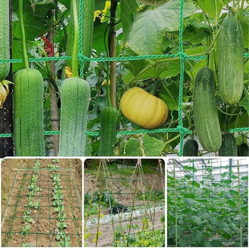 Filet pour Plantes grimpantes - Filet pour Concombre tomates avec 50 Attaches pour Jardins et serres d'escalade (2mx5m)