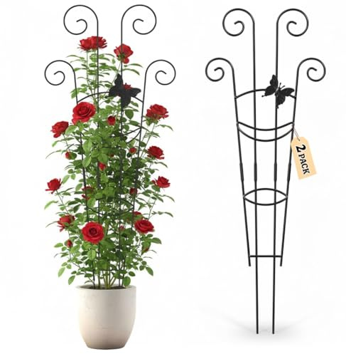 RIREKIS 2 Pack Metal Plant Trellis for Climbing Plants Potted Plants, 76cm Sturdy Indoor Outdoor Garden Trellis Support Stake for Monstera Ivy Hoya Pothos Roses Vine Flower Clematis