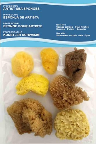 Artists Painting Natural Sea Sponges value pack - 8 pieces for Art & Craft, Paint, Hobbies, Effects, Ceramics, Pottery, Decorating, Sponging, Fine Art – Fine to Broad Texture,Sizes 1.5'-3.0'