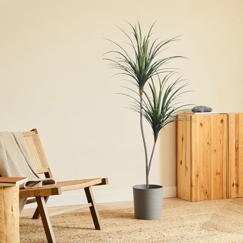 BLAINE | Yuca Artificial 160 cm | Plantas Artificiales Decorativas | Planta Artificial Grande | Plantas Artificiales Interior/Exterior | Planta Realista Decorativa | Sin Cuidados