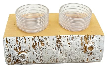 Frfik Plateau de Nourrissage pour Gecko,Mangeoire Magnétique avec 10 Récipients - Distributeur Nourriture Et Eau pour Gecko Et Lézard - pour Lézard Crabe Tortue Mygale Serpent Dragon Barbu