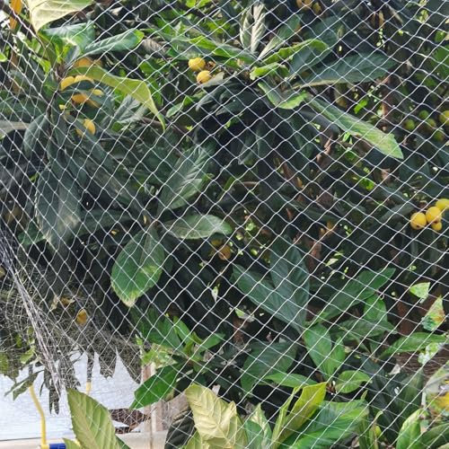 Vogelschutznetz für Obstbäume, 25 x 20 m – strapazierfähige Nylon-Netzabdeckung für Heidelbeersträucher, Erdbeeren, Gartenspalierschutz