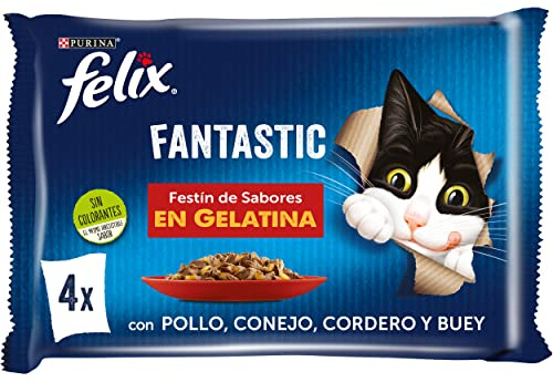 FELIX Fantastisk, våt mat för vuxna katter, gelé, kycklingsortiment, kanin, lamm och oxe, 12-pack med 4 kuvert på 85 g (48 kuvert)