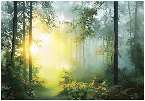 WallArena - Fotomural de vellon Bosque, Paisaje, 200x140 cm - Fotomurales - Papeles pintados - para salon y dormitorio - Papel pintado de vellon mural de pared efecto 3D - incl, cola - Naturaleza