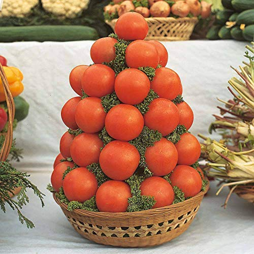 Tomato Seeds 'Alicante' Solanum lycopersicum L. Half-Hardy Annual Fruit/Vegetable Garden Plants 1 Packet 100 Seeds by Thompson and Morgan
