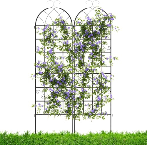 HOMASIS Traliccio per Rampicanti di 2 Pezzi, Pannelli Decorativi per Recinzione da Giardino in Metallo, Graticcio per Piante Rampicanti, Grigliato Divisorio Decorativo, 50x220 cm, Nero