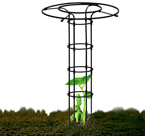 Supporto per obelisco da giardino per piante rampicanti, 210 cm, in metallo, resistente alla ruggine, per interni ed esterni, per fiori, verdure e viti (nero)