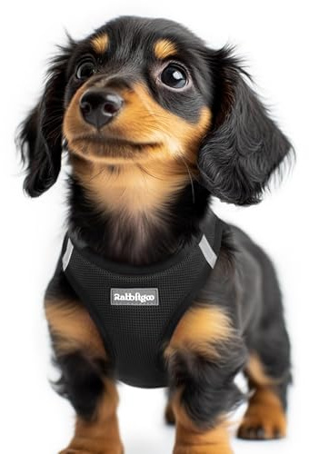 rabbitgoo Dog Harness Small Dog, Step-in Soft Mesh Vest, Black