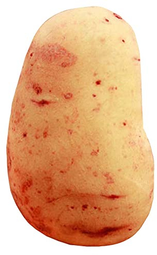 Fendawn Strive Niedliches kleines Plüschtier Sofabett Dekoratives Gemüse Wurfkissen, Kartoffel