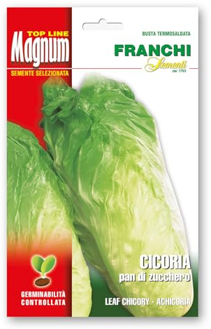 Sementi in busta magnum termosaldata grande per la produzione di ortaggi nell'orto famigliare (Cicoria pan di di zucchero, Una busta)