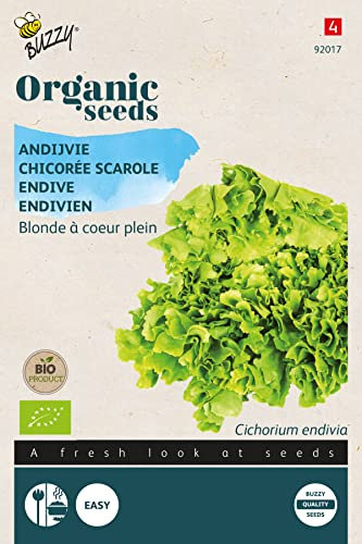 Buzzy Organic Endive Blonde A Coeur Plein(BIO) - Content: Approx. 1 Grams