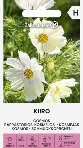Zalia stotele | Cosmos - KIIRO Sementi di fiori | Fiori annuali facili | Fiori gialli luminosi | Per aiuole vasi | Auto-risemina | Semi ornamentali | 1 bustina