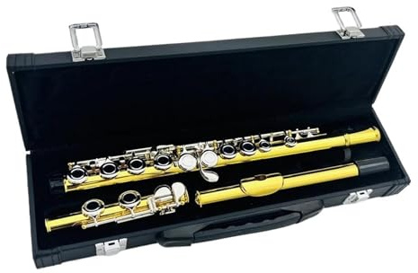 tvärflöjt instrument Flöjtinstrument 16 stängt hål C nyckel
