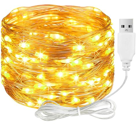 ALEGRE Guirlande lumineuse LED avec USB, 5 m 50 LED en fil de cuivre avec prise, guirlande lumineuse étanche blanc chaud pour l'intérieur et l'extérieur, guirlande lumineuse LED pour décoration de