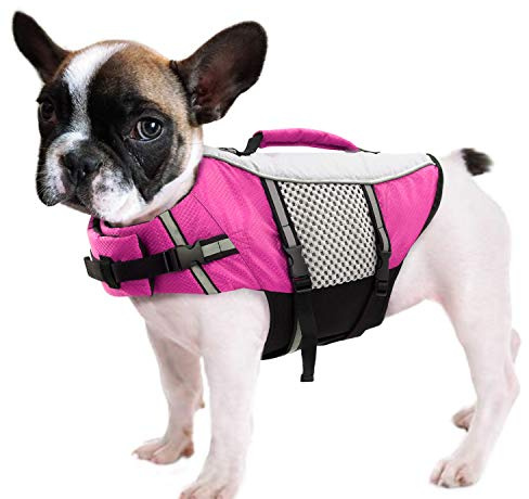 Queenmore Dog Life Jacket Swimming Vest Small Medium Dogs Neoprene Water Boating Life Preserver Lightweight Reflective Cat Puppy Kayaking Lifesaver for Yorkshire Terrier,Chihuahua,Teacup (Pink,XS)
